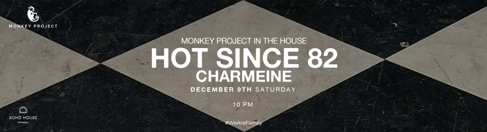 MONKEY PROJECT IN THE HOUSE